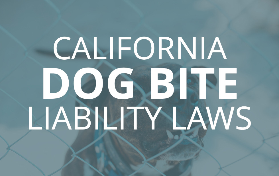 California-Dog-Bite-Law